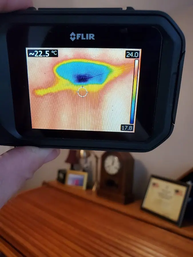 Thermal imaging inspection for water damage in Gustine